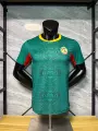 25-26 senegal away game