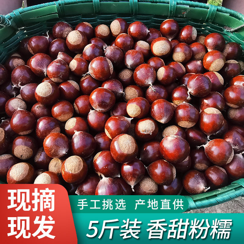 2025 Fujian Jian'Ou Specialty Fresh Chestnuts, Raw Chestnuts, Fresh Oil Chestnuts, High Mountain Farm Freshly Picked Hazelnuts, Sugar-Fried Chestnuts