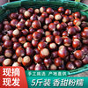 2025 Fujian Jian'Ou Specialty Fresh Chestnuts, Raw Chestnuts, Fresh Oil Chestnuts, High Mountain Farm Freshly Picked Hazelnuts, Sugar-Fried Chestnuts