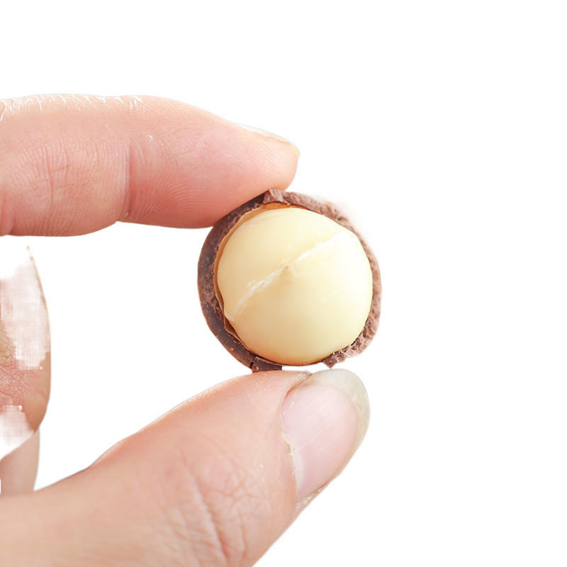 Four Types of Nut Combination Gift Packs: Macadamia Nuts, Almonds, Pistachios, Pecans, Cashew Nuts, Canned Snacks