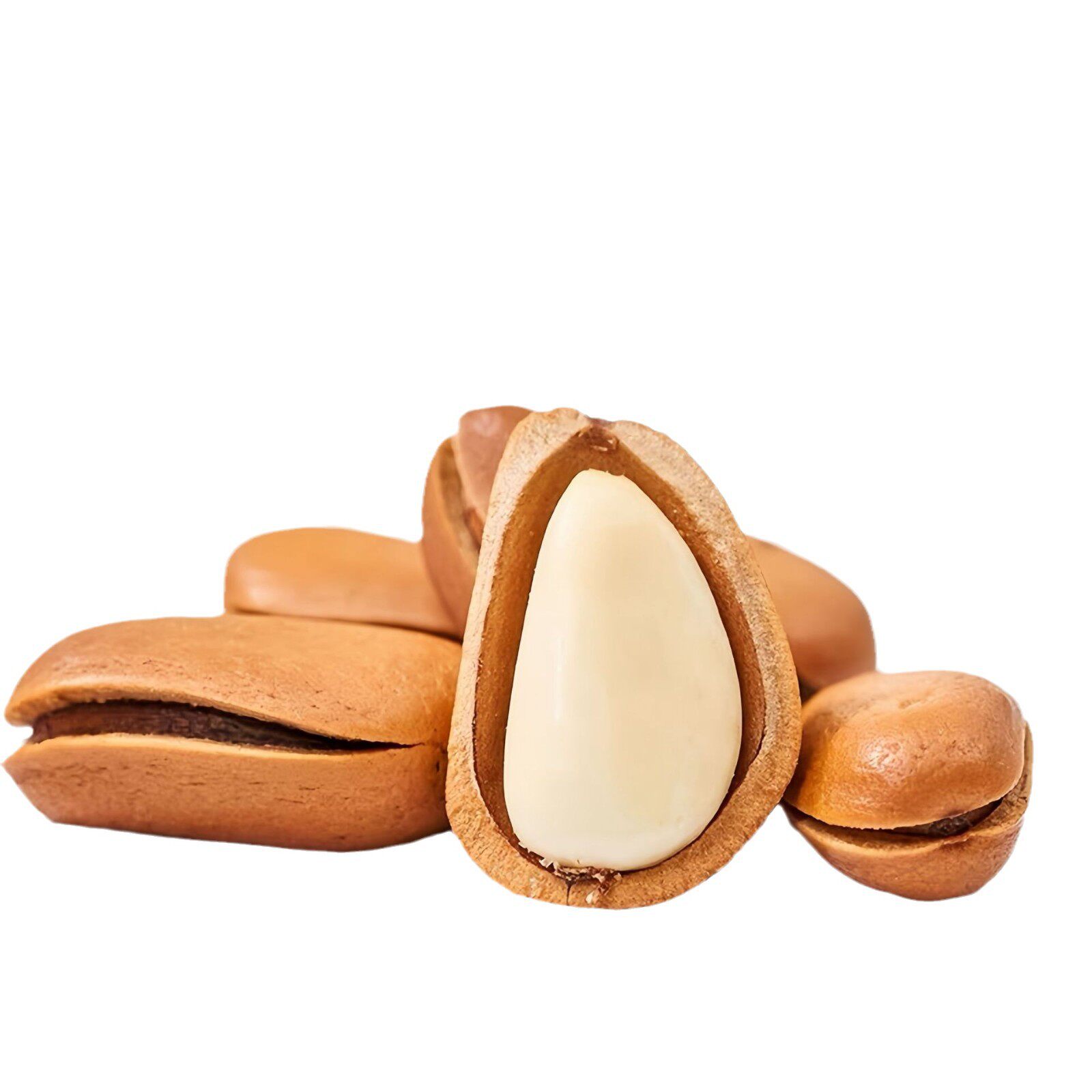 2024 New Wholesale Northeastern Pine Nuts Bagged Selection of Good Pine Nuts, Nuts, Dried Fruit Snacks, Large Capsules, Open Pine Nuts