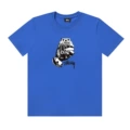 S889622#Colorful blue