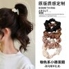 High Elastic French Hair Band for Women, Durable Headband, Ball Headband, High-End Rubber Band, Adult Hair Accessories Leather Case