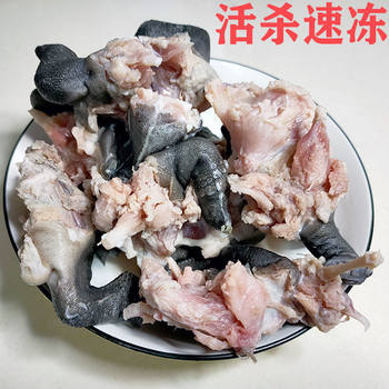 Breeding Grass Turtles, Vacuum Packaging, Shelling and Gutting, Wholesale Grass Turtles for Soup, Fresh