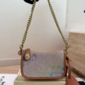 Swinger20 chain bag rainbow color
