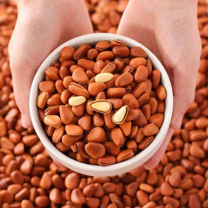 Northeast original opening large particle pine nuts new 500g bulk hand-peeled red pine snacks nuts large opening