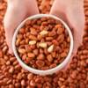 Northeast original opening large particle pine nuts new 500g bulk hand-peeled red pine snacks nuts large opening