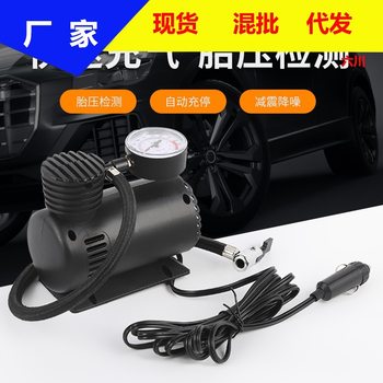 12V Micro Air Pump Car Air Pump Locomotive Tire Air Pump Car Air Pump Electric Small Air Pump