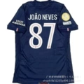 Paris Home 87