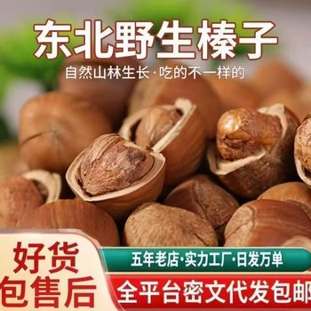 Hazelnut New Arrivals Northeast Specialty Wild Nuts Dried Fruit New Year Original Snacks No Additives Hazelnuts