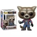 1202 raccoon