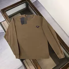 Autumn 2024 New Long-sleeved T-shirt Men's Loose Pure Cotton Crewneck Fashionable Interior Solid Color Base Shirt Top T