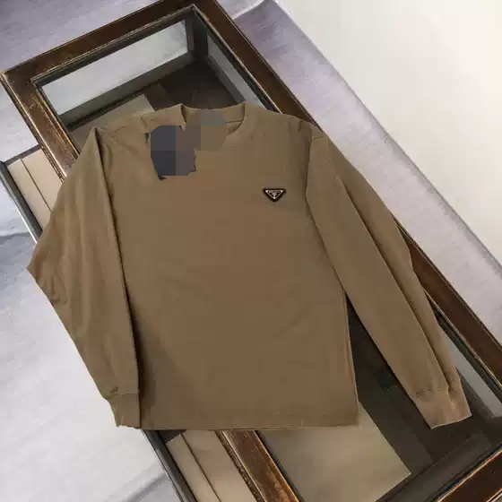 Autumn 2024 New Long-sleeved T-shirt Men's Loose Pure Cotton Crewneck Fashionable Interior Solid Color Base Shirt Top T