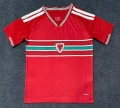 2026 wales home game