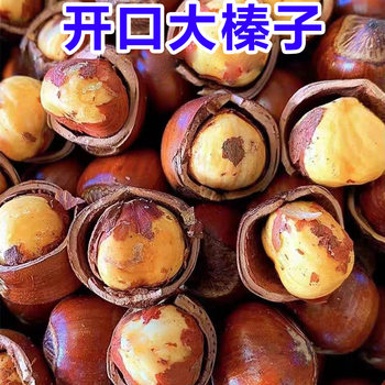 Northeast Open Hazelnuts 500g Original Hazelnuts Northeast Thin-Skinned Roasted Nuts Snacks 0g Source Factory