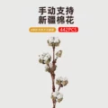 Xinjiang cotton (spot)