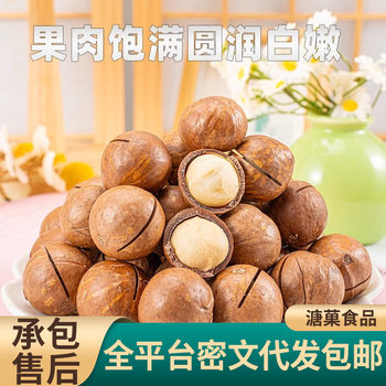 Macadamia Nut Cream Flavored Walnut Thin-Skinned Large Nuts Open Nut Snack Milky Macadamia Nuts