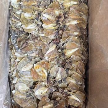 Dried cuttlefish wholesale new dried fresh water cuttlefish dried soup dried fish dried seafood manufacturers wholesale