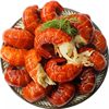 Frozen Fresh Lobster Tails, Large Fresh Live Crayfish Tails Without Ice Coating, Commercial Fresh Frozen Wholesale Fresh Aquatic Products