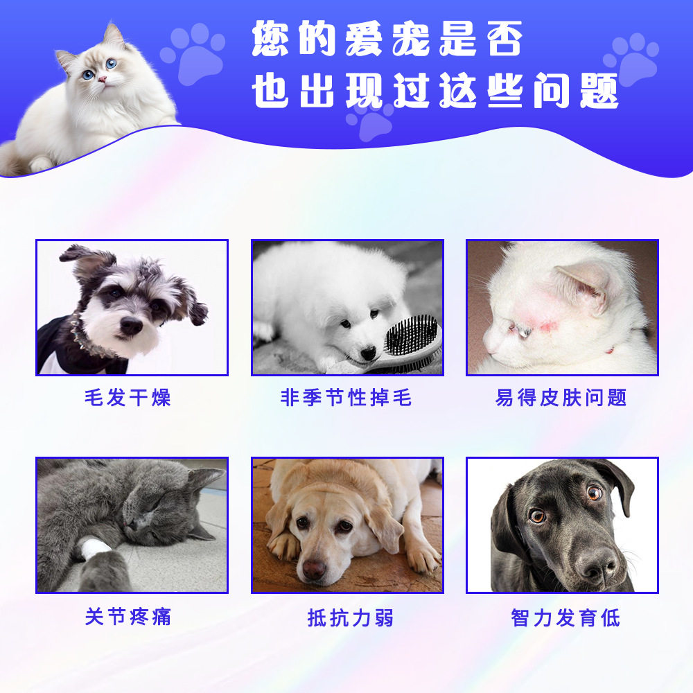 宠物鱼油卵磷脂鱼油猫用鱼油狗狗犬猫专用鱼油宠物保健品美毛顺毛,淘宝优惠券,粉丝福利购,淘宝优惠卷