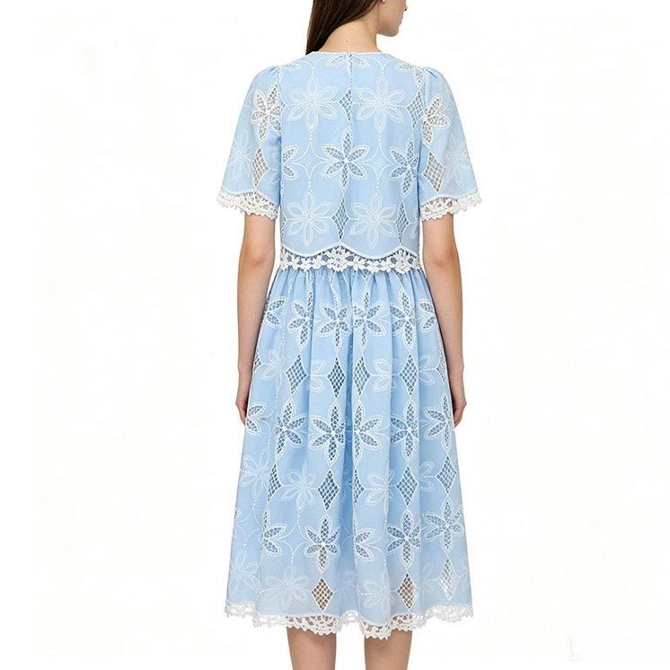 French Style Lace Hollow Short Sleeve Top with High Waist Slimming Skirt Set Elegant Soft Chic Perfect for Spring