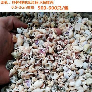 0.5kg Natural Conch Shells, Starfish, Hermit Crabs, Replacement Punched Handmade DIY Wind Chimes, Drift Bottle Materials, Fish Tanks