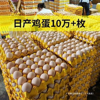 Egg Wholesale [New Store Promotion] Pack of 30 Farmhouse Free-Range Eggs Freshly Picked and Delivered