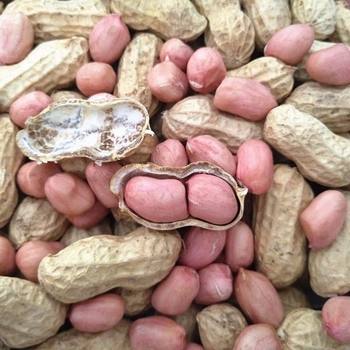 New Arrivals for Autum 2025, Raw Shelled Naturally Sun-Dried Peanuts, Fresh Thin-Shelled Raw Peanuts, Farm-Grown Prunes and Vegetables