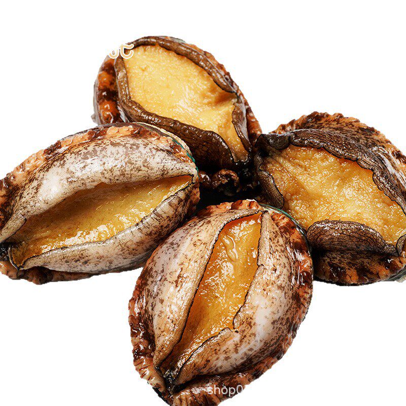 Manufacturer Wholesales Seafood, Extra-Large Abalone, Seafood for Buddha's Leap Wall Dish, Seafood Soup, Seafood in Sauce, Fresh Large Abalone, Wild-Caught