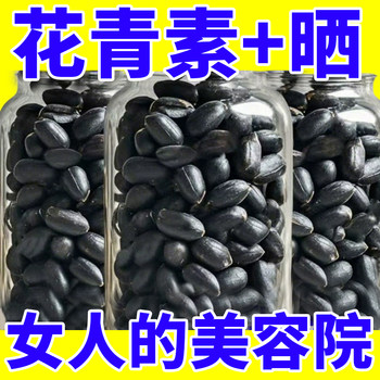 25 Years of Original High-Yield Selenium-Rich Black Peanuts, Yunnan Specialty, Small Black Peanuts in Shells, Purple Skin, Healthy Ready-To-Eat Snacks