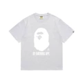 164 gray