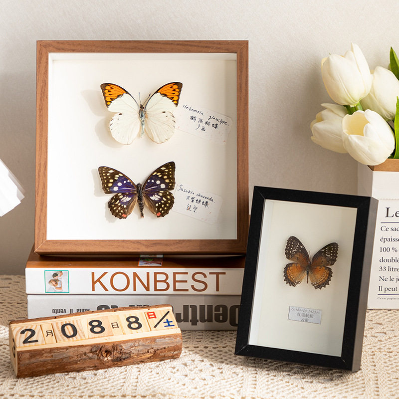 Hollow photo frame decoration handmade diy real butterfly a4 insect notebook box three-dimensional frame display frame picture frame depth