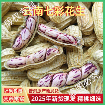 2025 New Colorful Peanuts Sun-Dried with Shells Yunnan Pu'Er Salty Dried Colorful Peanuts Milk Peanut Seeds