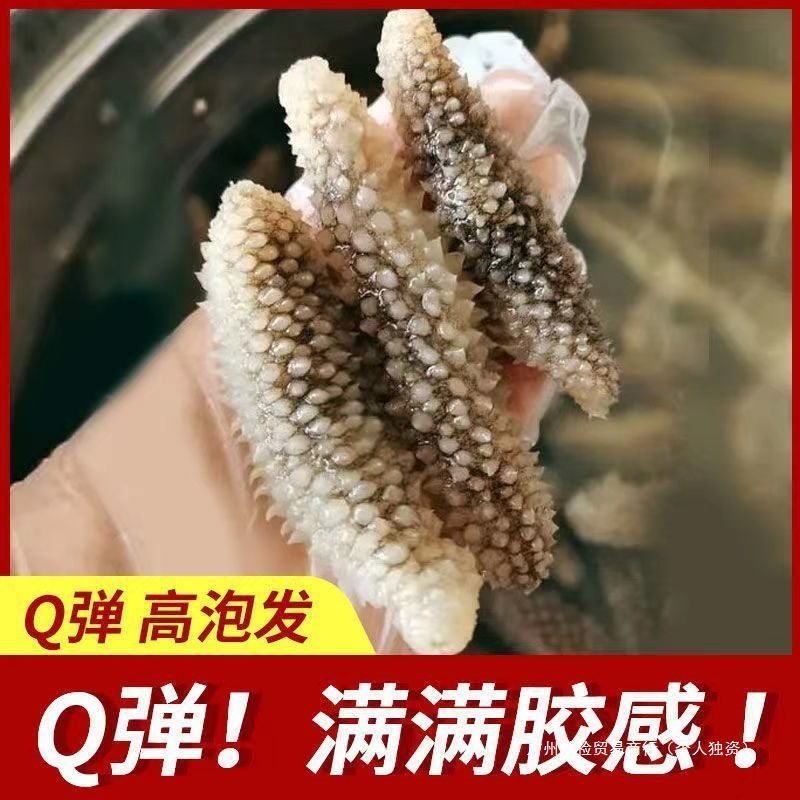 Wild Sea Cucumber Dried Goods Indonesian Black Sea Cucumber Pregnant Women Grade Authentic Sea Cucumber Pure Light Dried Sea Cucumber Bald Sea Cucumber Non-Liao Sea Cucumber