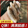 Wild Sea Cucumber Dried Goods Indonesian Black Sea Cucumber Pregnant Women Grade Authentic Sea Cucumber Pure Light Dried Sea Cucumber Bald Sea Cucumber Non-Liao Sea Cucumber