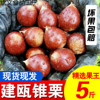 Jianou fresh chestnut Fujian wild round chestnut yellow heart small hair chestnut fragrant glutinous powder sweet alpine big oil a wholesale