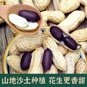 [Net Weight Delivery] New Shelled Black Peanut Farmer's Self-growing Black Peanut with Black Skin and Purple Skin Thin Skin Black Peanut Selenium-enriched
