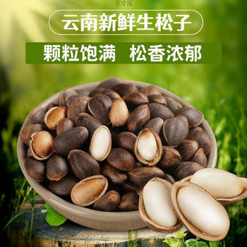 Fresh raw pine nuts Yunnan pine nuts wholesale thin shell wet pine nuts do not open original nuts idle snacks cross-border e-commerce