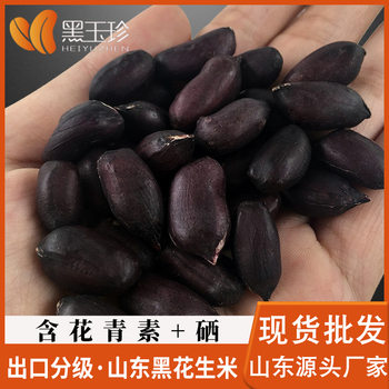 Black Yuzhen Authentic Shandong Black Peanut 500g Large Grain Shelled 24 Years New Black Peanut Origin Wholesale