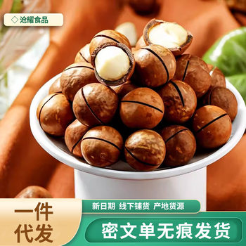 Creamy Hawaiian Fruit Hand Peeled Open Nut Snacks Wholesale 500g Walnut Macadamia Fruit