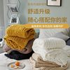 Nordic Simple Coarse Wool Blanket Solid Color Chenille Knitted Casual Blanket Thickened Sofa Leg Cover Blanket Nap Blanket