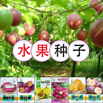 Colorful Gourd Seeds, Chicken Heart Fruit Seeds, Purple-Yellow-Skinned Passion Fruit Seeds, August Melon Seeds, September Yellow Seeds, Fruit Seeds Wholesale