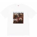 B362 rowlf puppy white