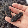 Dalian light dried sea cucumber deep sea bottom sowing high sea cucumber non-instant sea cucumber dry goods gift box sea cucumber 50g sea cucumber sea cucumber