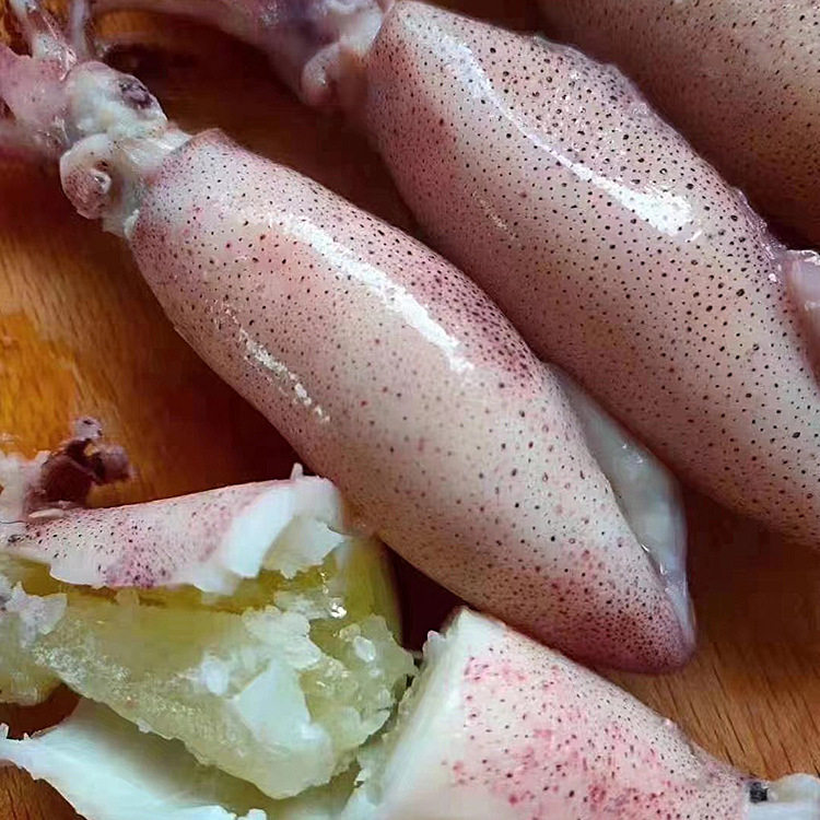 Female Squid Wholesale Free Shipping with Seed Mother Tube Squid Frozen Pen Tube Paste Squid Seafood Aquatic Products Restaurant Hotel Supply