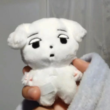 In Stock Winter Kim Min-Jeong Yoo Ji-Min Curry Dog Curry Pot Curry Cat Doll Key