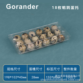 Plastic Quail Egg Tray 18 Pieces Disposable Transparent Quail Egg Packaging Box Wholesale Shock-Proof Multi-Specification Quail Box