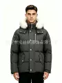 grey(white fur)