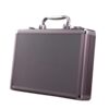 Aluminum Ear-Picking Tool Box with Isolation, Ultra-Large Capacity, Professional Ear-Picking Tool Box with Silent Storage