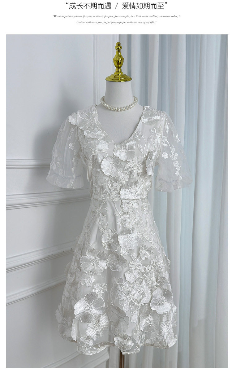 Summer V Neck Puff Sleeve Dress Handcrafted 3D Embroidery Solid Color Elegant A Line Silhouette Perfect for Parties